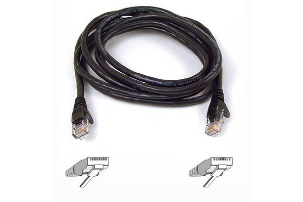 BELKIN Câble RJ45 Cat.6 UTP Snagless - Noir 1m