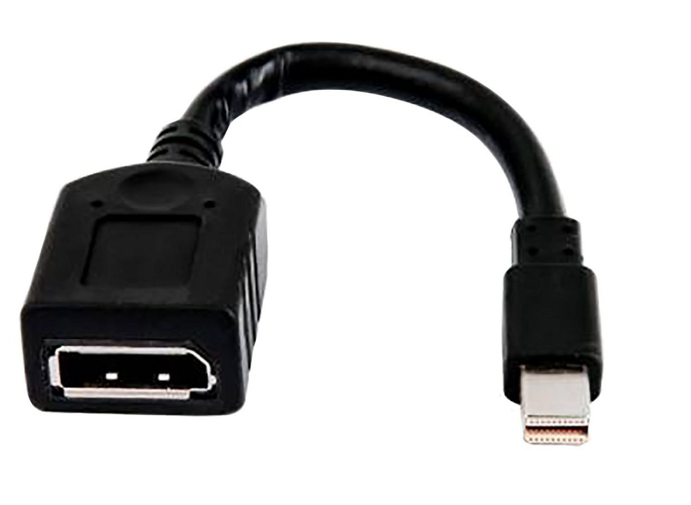 HP Single miniDP-to-DP Adapter Cable