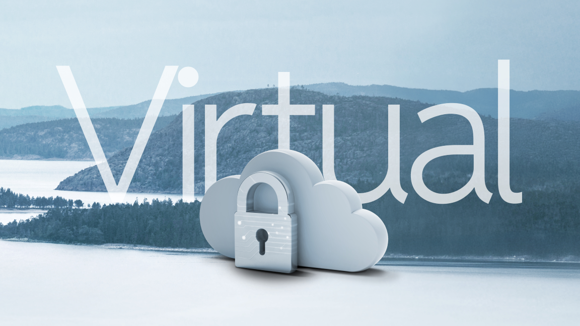 Clavister NetEye 50 Virtual