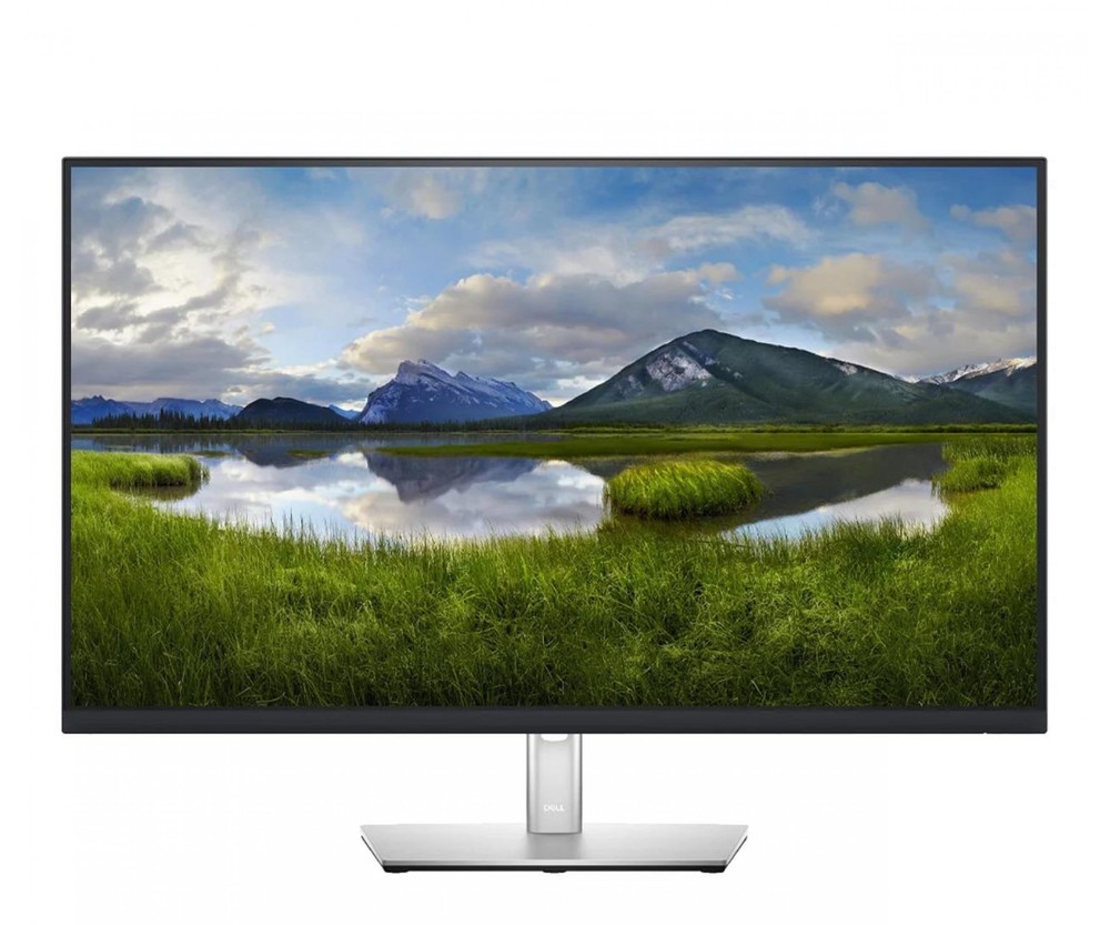 DELL 32 USB-C Monitor - P3221D