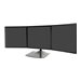 ERGOTRON Triple Monitor Stand black