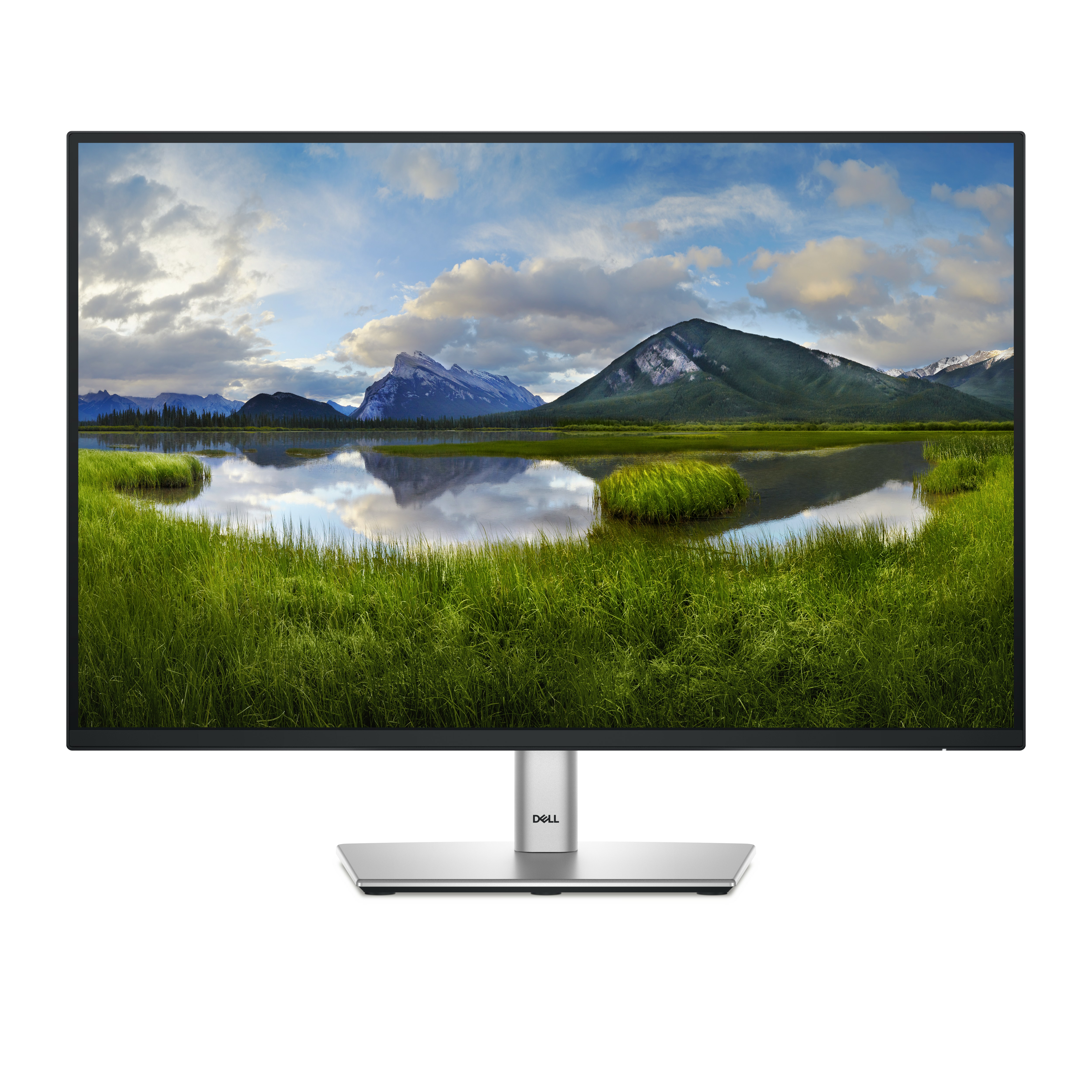 Dell 24" P2425E USB-C Hub Monitor