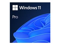MS DSP Win 11 Pro 64Bit DVD OEM (EN)