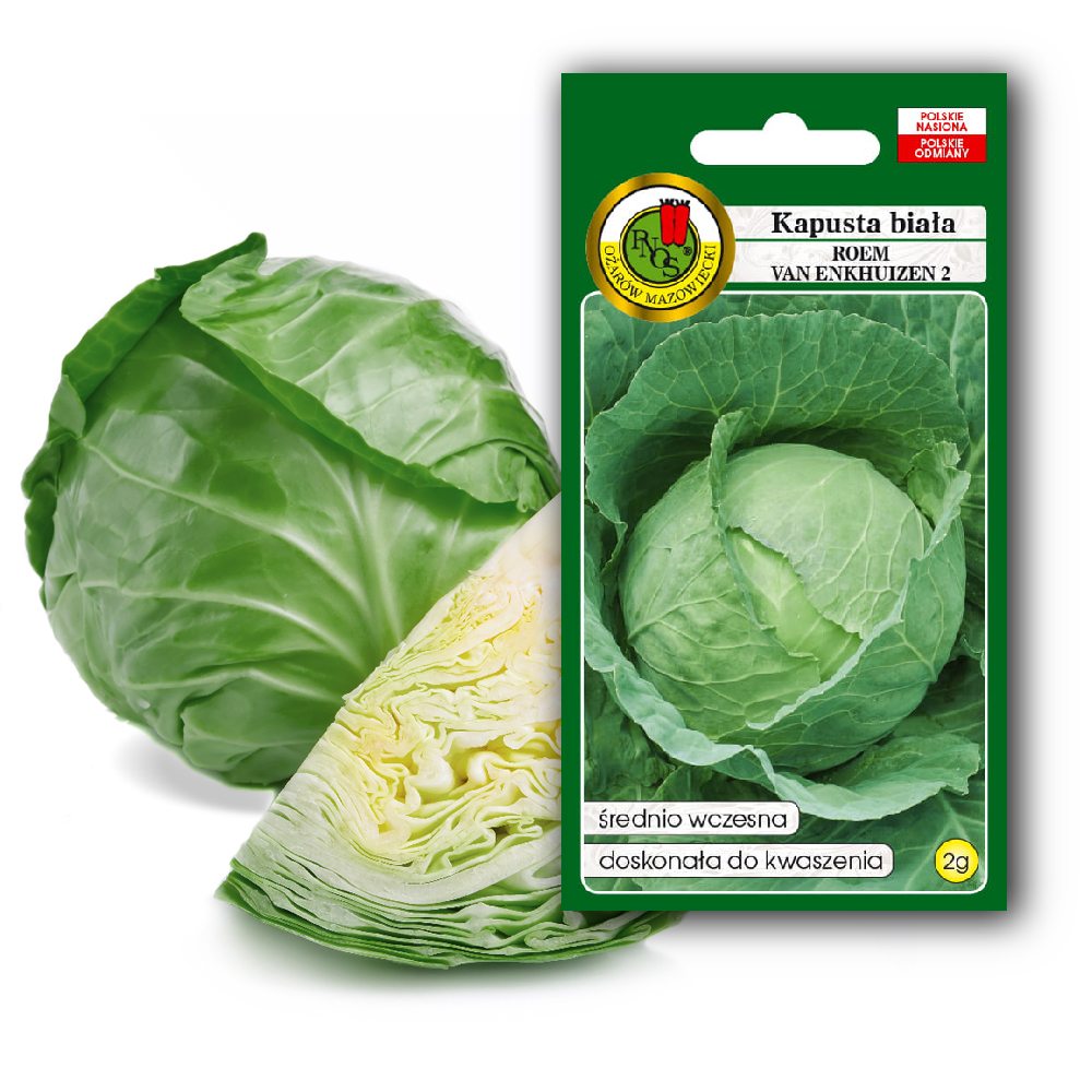 PNOS Nasiona warzyw | Kapusta Głowiasta Biała Roem Van Enkhuizen 2 | Opakowanie 2g