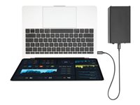 StarTech.com 0.5m Thunderbolt 3 (40Gbps) USB-C Cable - Thunderbolt, USB, and DisplayPort Compatible