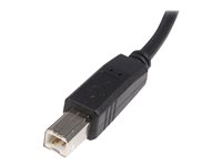 StarTech.com 0.5m USB 2.0 A to B Cable - M/M