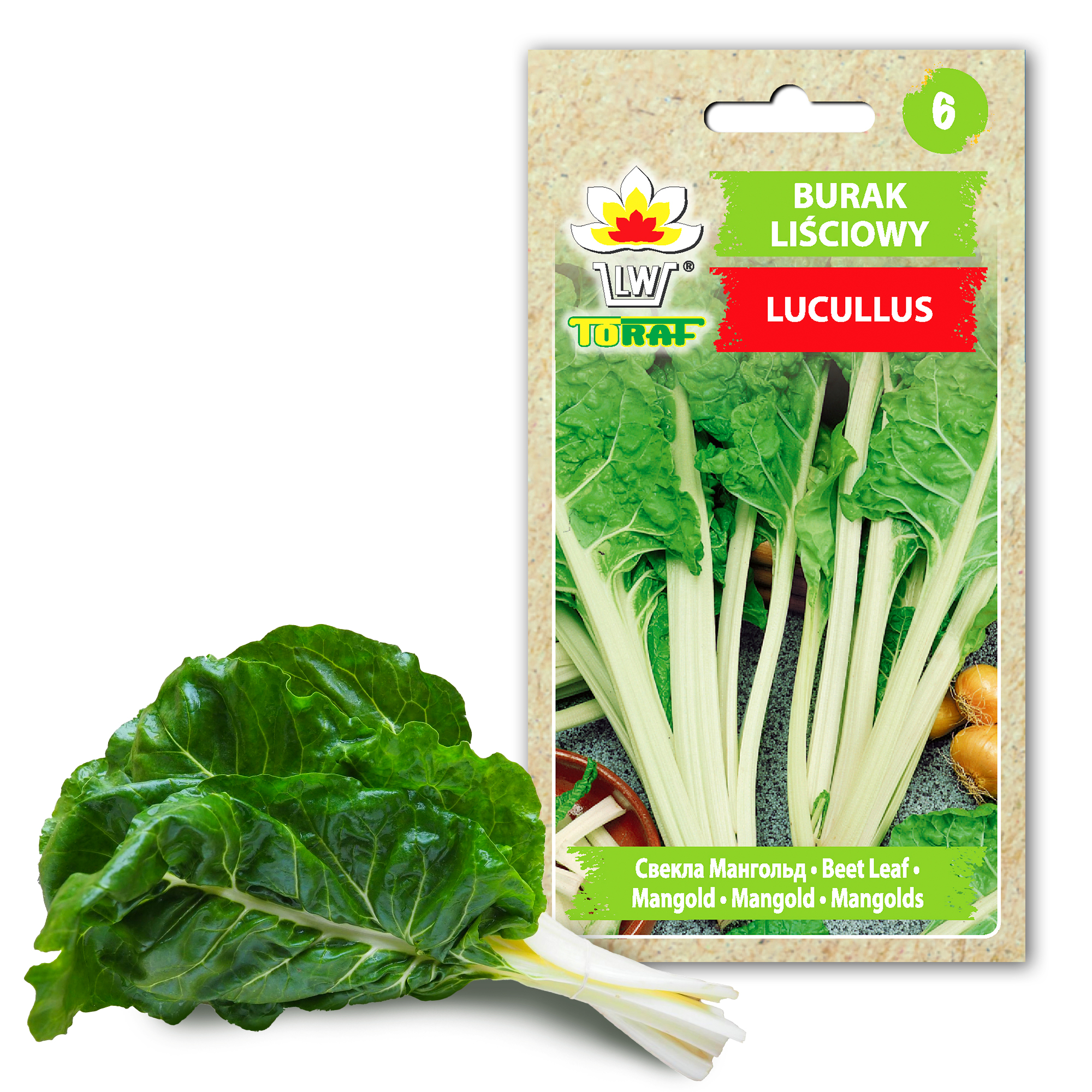 Toraf Nasiona warzyw | Burak Liściowy Lucullus | Opakowanie 5g