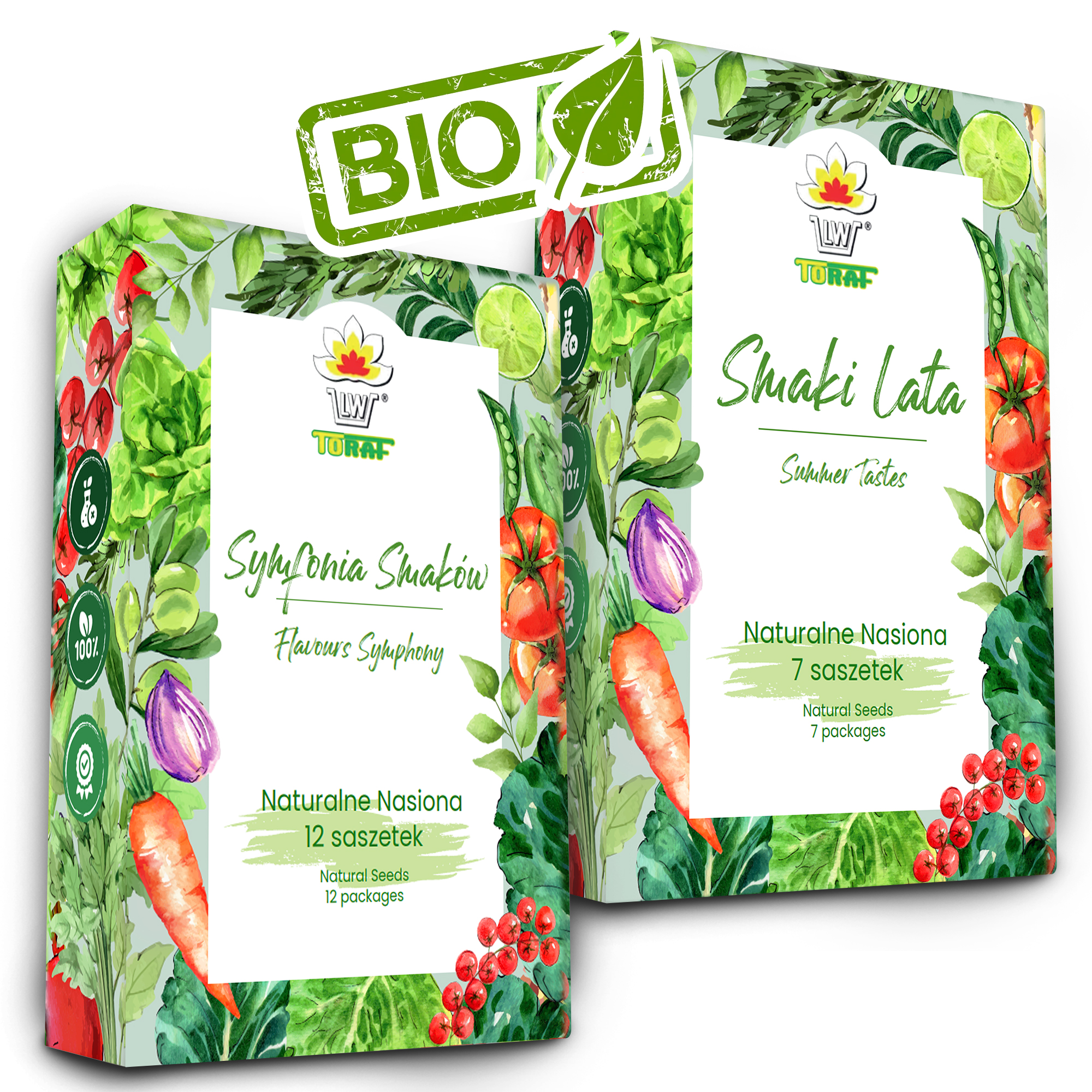 TORAF ZESTAW NASION - SET 1+6 2024 TORAF 19X1SZT