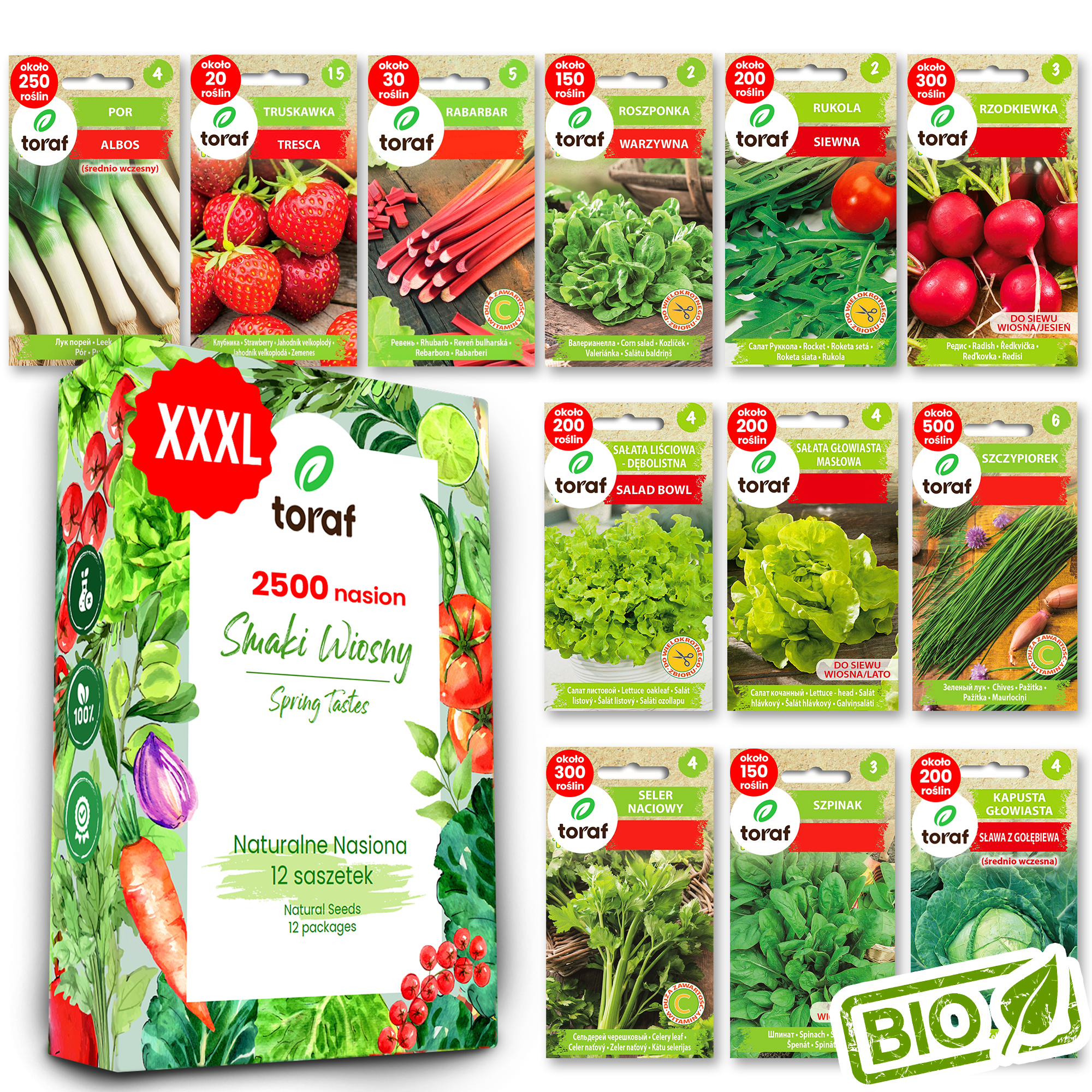 TORAF ZESTAW NASION SMAKI WIOSNY - 12 OPAKOWAŃ